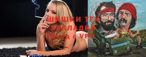 твердый Дмитриев