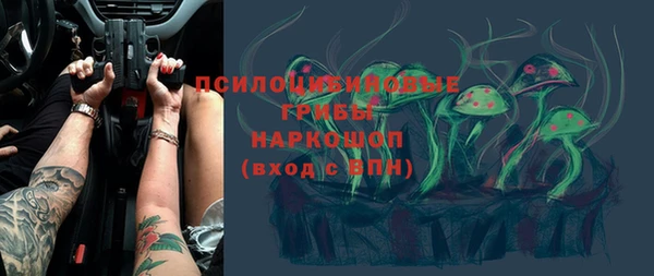 ПСИЛОЦИБИНОВЫЕ ГРИБЫ Дмитровск