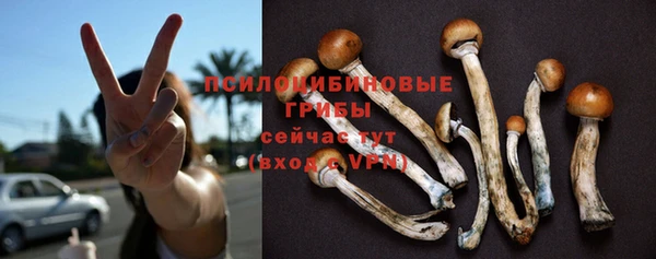ПСИЛОЦИБИНОВЫЕ ГРИБЫ Дмитровск