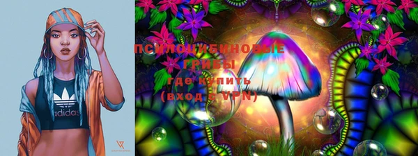 не бодяженный Гусиноозёрск