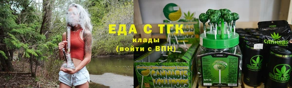 хмурый Тавда