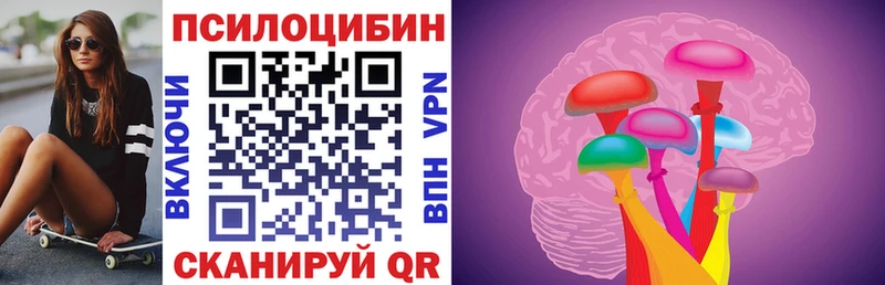 Галлюциногенные грибы Psilocybe  Купить где  Нерчинск 